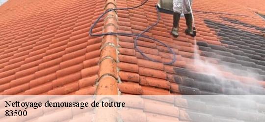 Nettoyage demoussage de toiture 83500