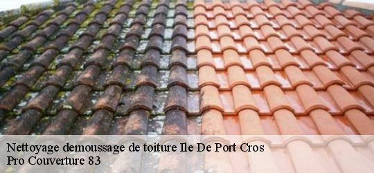 Nettoyage demoussage de toiture ile-de-port-cros-83400 Pro Couverture 83