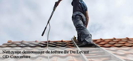 Nettoyage demoussage de toiture  83400