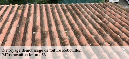 Nettoyage demoussage de toiture  rebouillon-83300 MJ renovation toiture 83