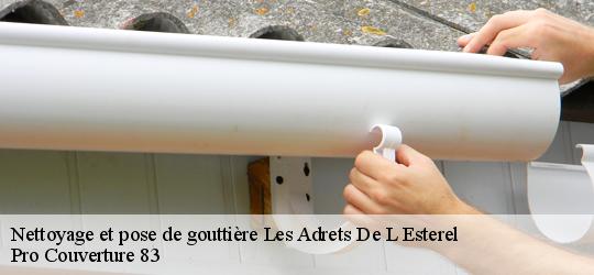Nettoyage et pose de gouttière les-adrets-de-l-esterel-83600 Pro Couverture 83