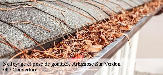 Nettoyage et pose de gouttière 83630