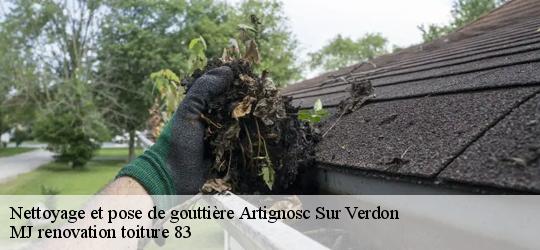 Nettoyage et pose de gouttière  artignosc-sur-verdon-83630 MJ renovation toiture 83