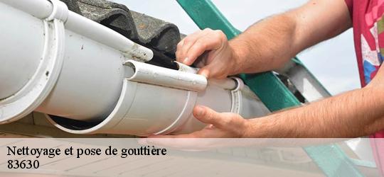Nettoyage et pose de gouttière 83630