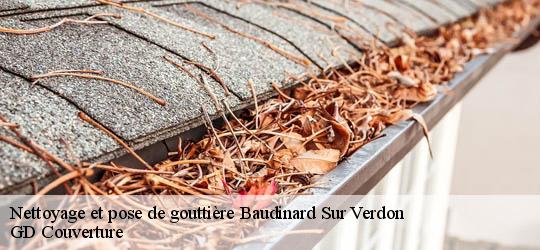 Nettoyage et pose de gouttière 83630