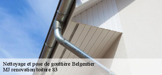 Nettoyage et pose de gouttière  belgentier-83210 MJ renovation toiture 83