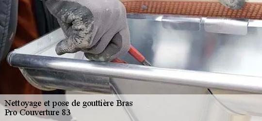 Nettoyage et pose de gouttière bras-83149 Pro Couverture 83