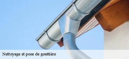 Nettoyage et pose de gouttière 83830