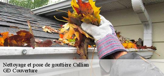 Nettoyage et pose de gouttière 83440