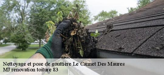 Nettoyage et pose de gouttière  le-cannet-des-maures-83340 MJ renovation toiture 83