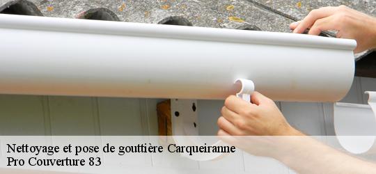 Nettoyage et pose de gouttière carqueiranne-83320 Pro Couverture 83