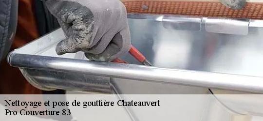 Nettoyage et pose de gouttière  chateauvert-83670 Pro Couverture 83