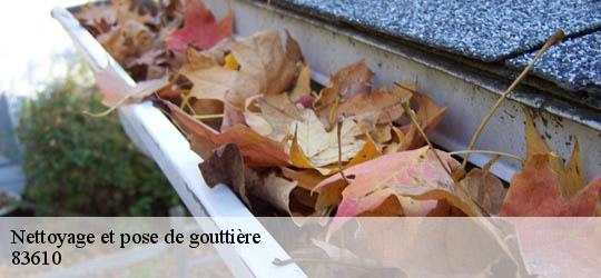 Nettoyage et pose de gouttière  83610