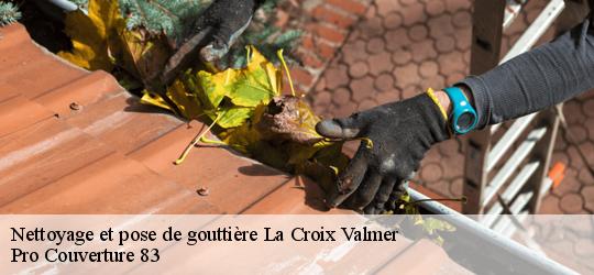 Nettoyage et pose de gouttière 83420