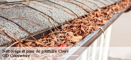 Nettoyage et pose de gouttière 83390