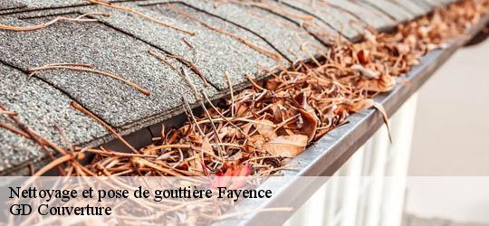 Nettoyage et pose de gouttière  83440