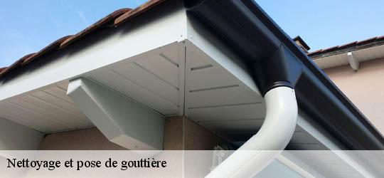 Nettoyage et pose de gouttière 83780