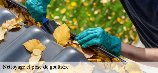 Nettoyage et pose de gouttière