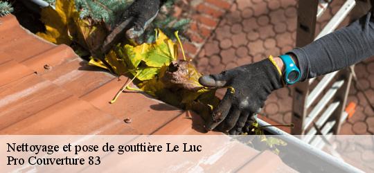 Nettoyage et pose de gouttière  83340