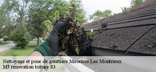 Nettoyage et pose de gouttière  meounes-les-montrieux-83136 MJ renovation toiture 83