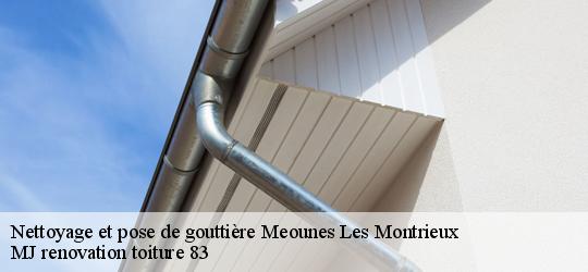 Nettoyage et pose de gouttière  meounes-les-montrieux-83136 MJ renovation toiture 83