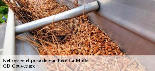 Nettoyage et pose de gouttière  83920
