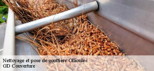 Nettoyage et pose de gouttière  83190