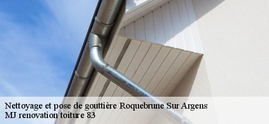 Nettoyage et pose de gouttière  roquebrune-sur-argens-83520 MJ renovation toiture 83