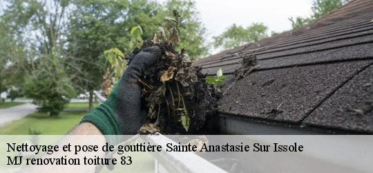 Nettoyage et pose de gouttière  sainte-anastasie-sur-issole-83136 MJ renovation toiture 83