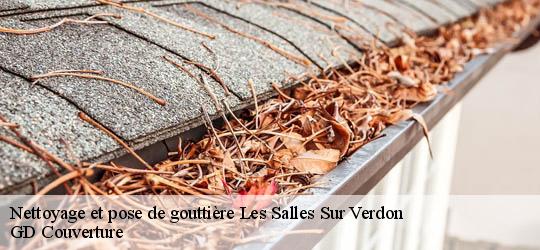 Nettoyage et pose de gouttière 83630