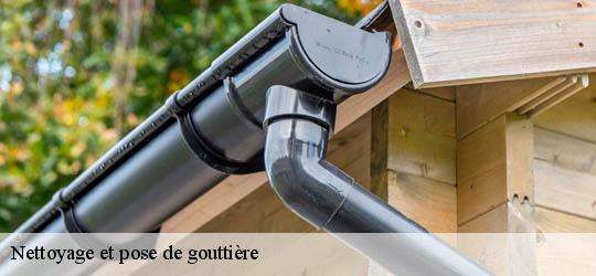 Nettoyage et pose de gouttière 83210