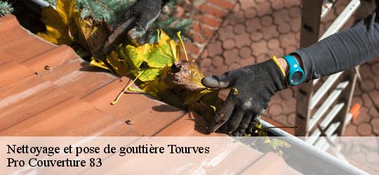 Nettoyage et pose de gouttière 83170