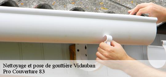 Nettoyage et pose de gouttière  vidauban-83550 Pro Couverture 83