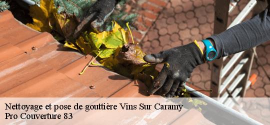 Nettoyage et pose de gouttière  83170