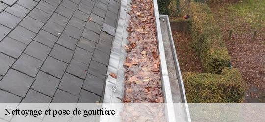 Nettoyage et pose de gouttière  83700