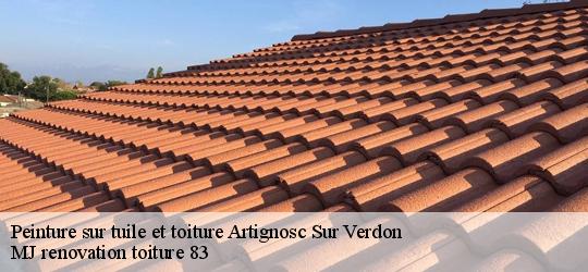 Peinture sur tuile et toiture  artignosc-sur-verdon-83630 MJ renovation toiture 83