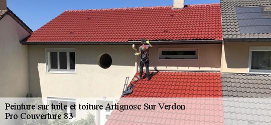 Peinture sur tuile et toiture  83630