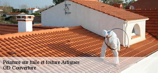 Peinture sur tuile et toiture 83560
