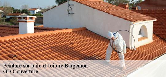 Peinture sur tuile et toiture 83830
