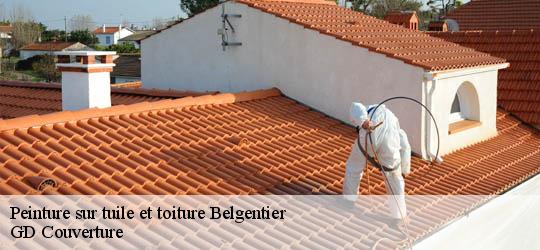 Peinture sur tuile et toiture  83210
