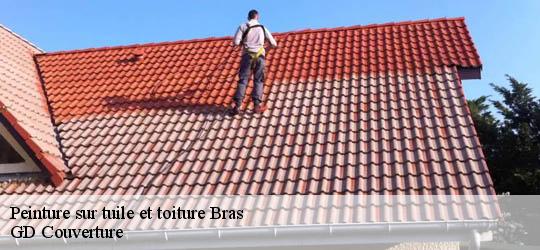 Peinture sur tuile et toiture  83149