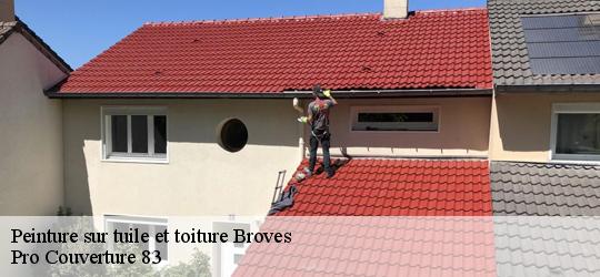 Peinture sur tuile et toiture 83440