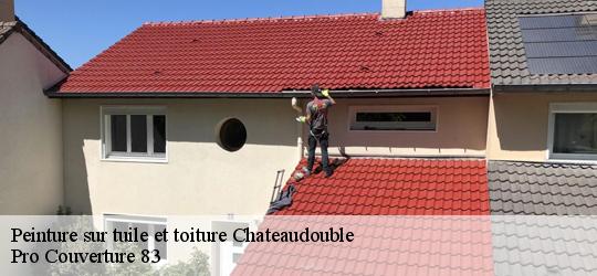 Peinture sur tuile et toiture 83300