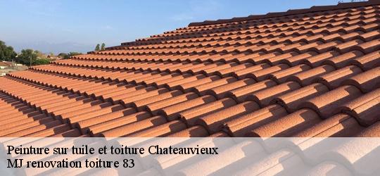 Peinture sur tuile et toiture  chateauvieux-83840 MJ renovation toiture 83