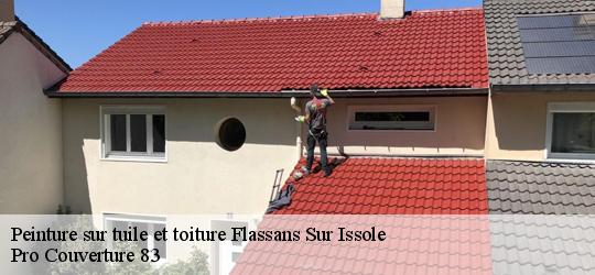 Peinture sur tuile et toiture 83340
