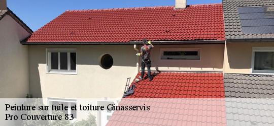 Peinture sur tuile et toiture 83560
