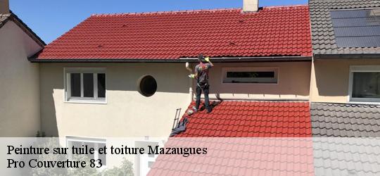Peinture sur tuile et toiture 83136