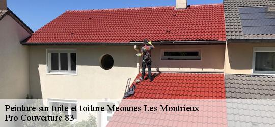 Peinture sur tuile et toiture 83136