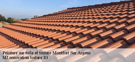 Peinture sur tuile et toiture  montfort-sur-argens-83570 MJ renovation toiture 83