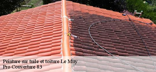 Peinture sur tuile et toiture  le-muy-83490 Pro Couverture 83